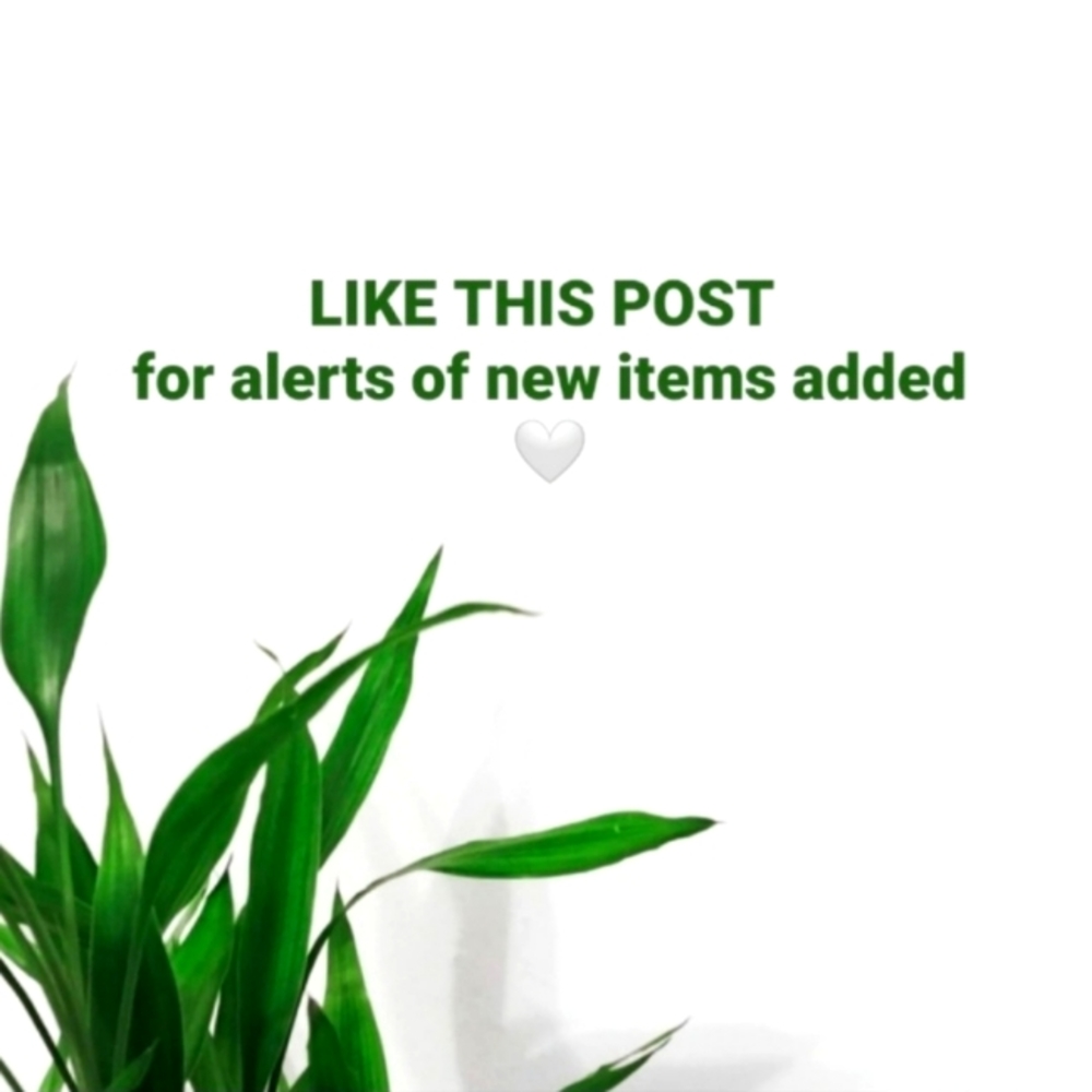 Like this Post